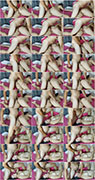 xxxpicture.de